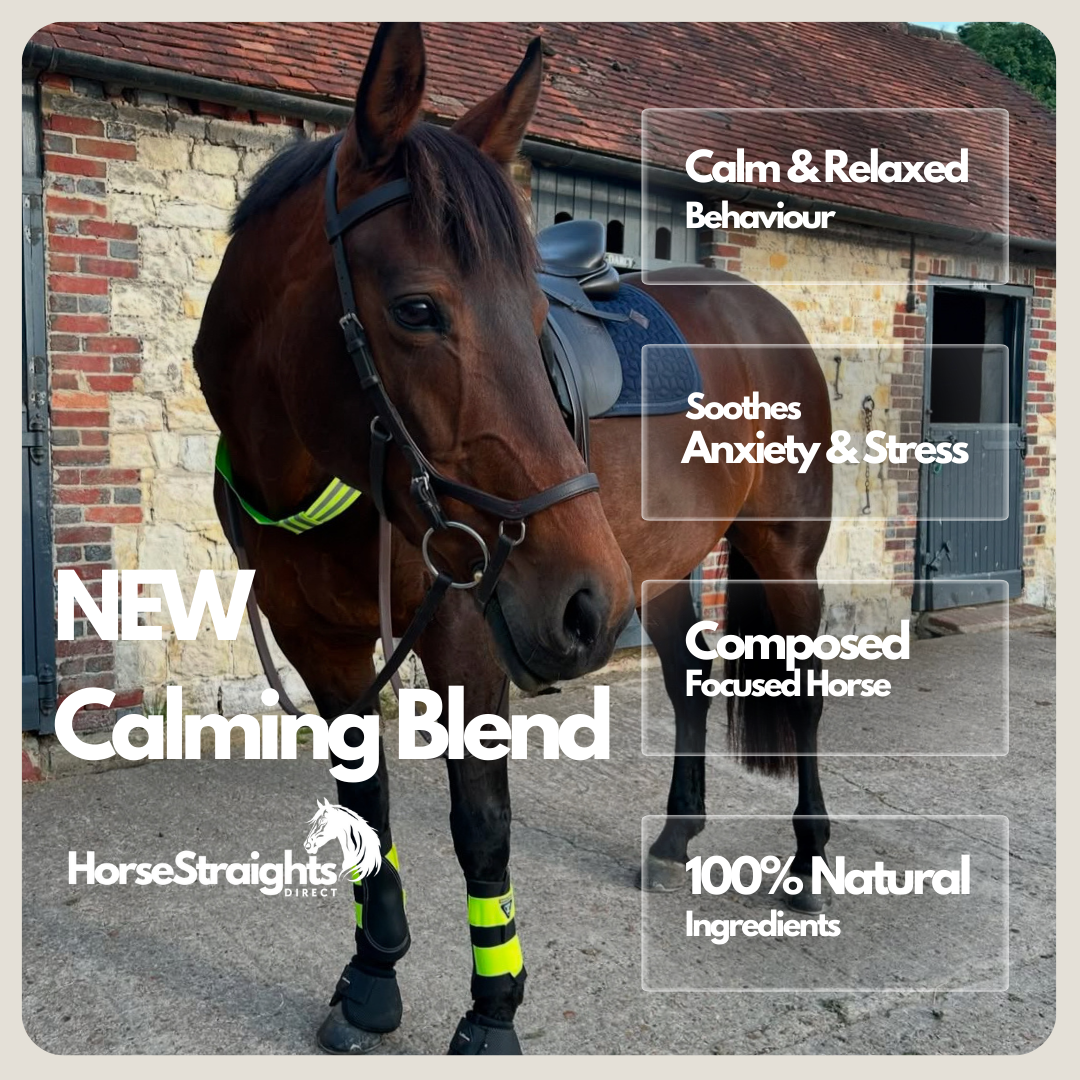 HorseStraightsDirect Calming Blend