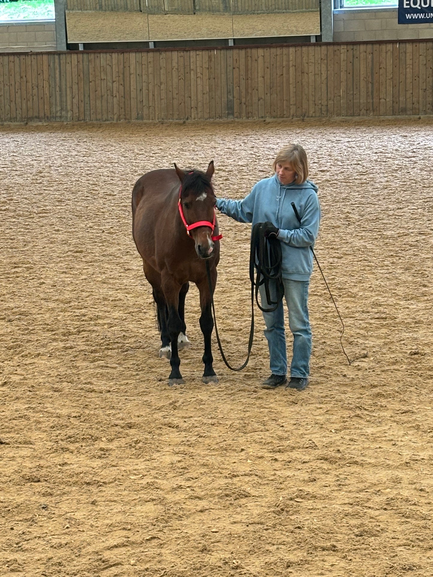 Is Your Horse Telling You Something? Movement, Health & Early Warning Signs - In-person Talk