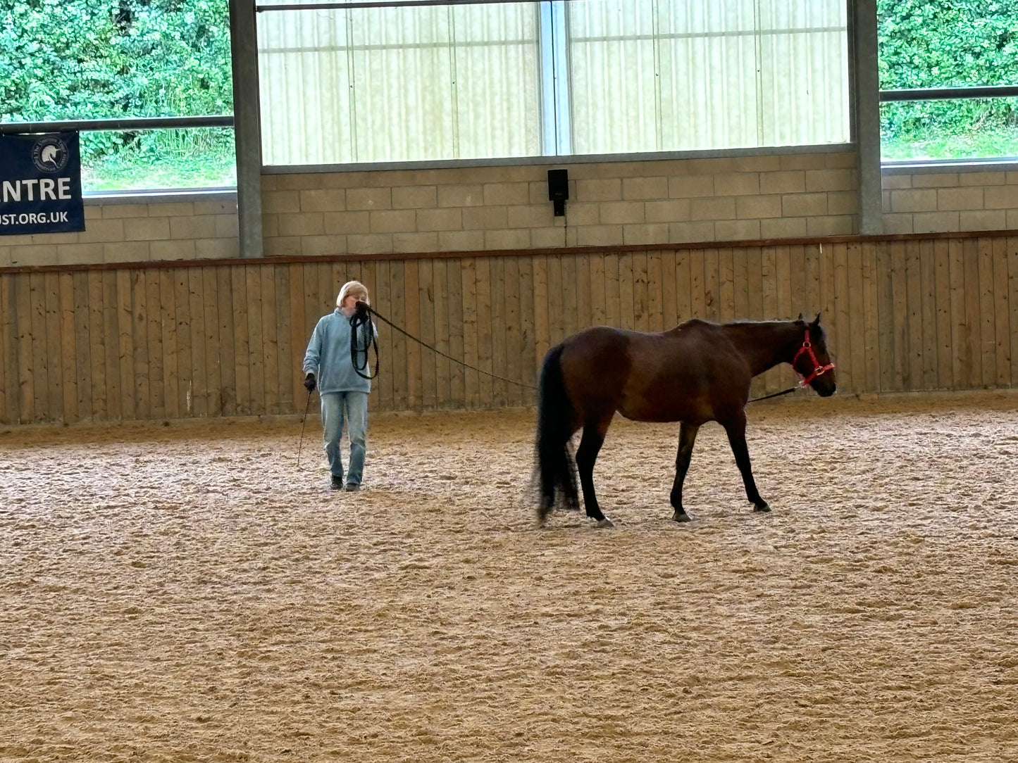 AlignmentHORSE Demonstration – In-Hand Conversations with Two Horses