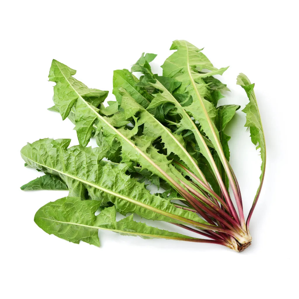 HorseStraightsDirect Dandelion Leaf Chopped