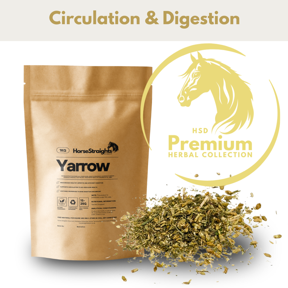 HorseStraightsDirect Yarrow