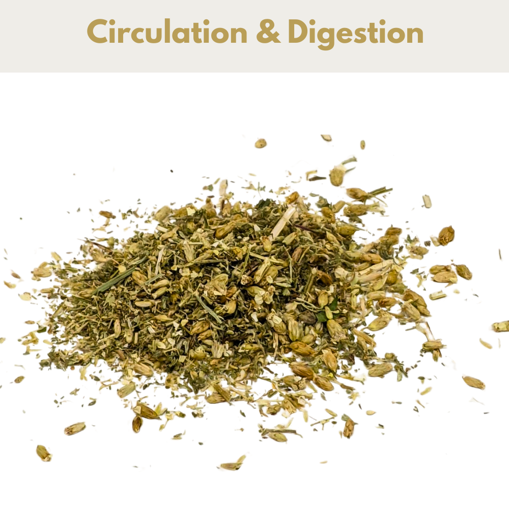 HorseStraightsDirect Yarrow