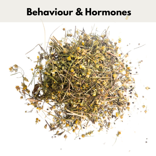HorseStraightsDirect Hormonal Support Blend