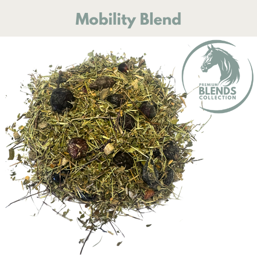 HorseStraightsDirect Mobility Blend