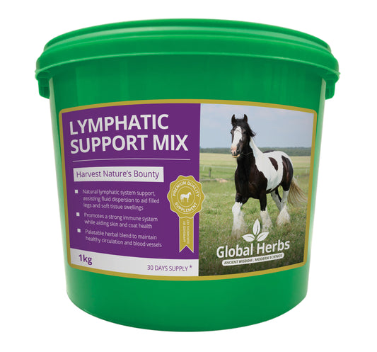 Global Herbs Lymphatic Support Mix