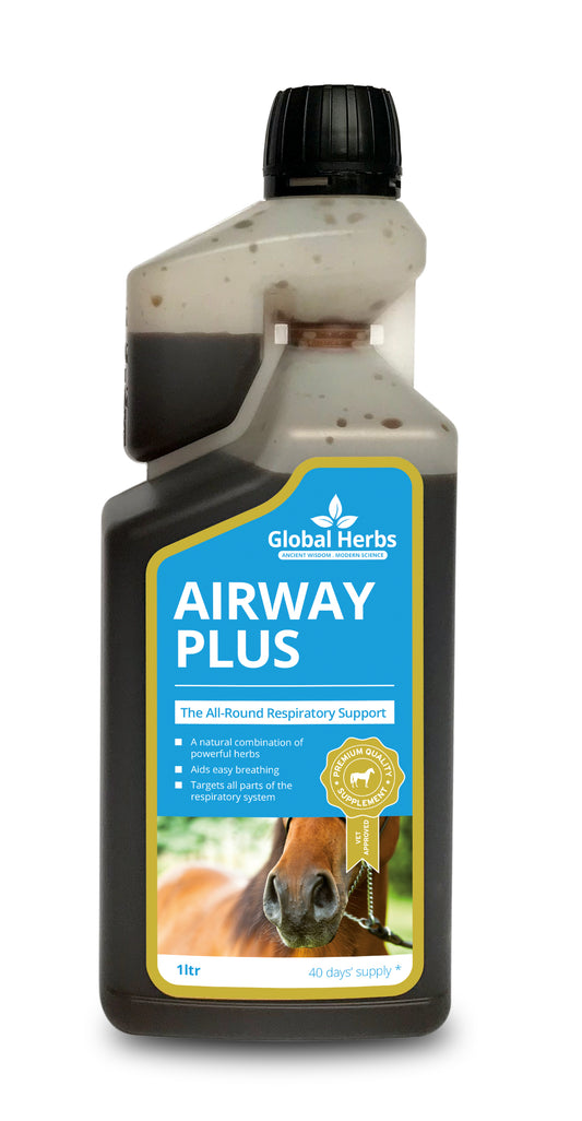 Global Herbs Airway Plus Liquid 1l
