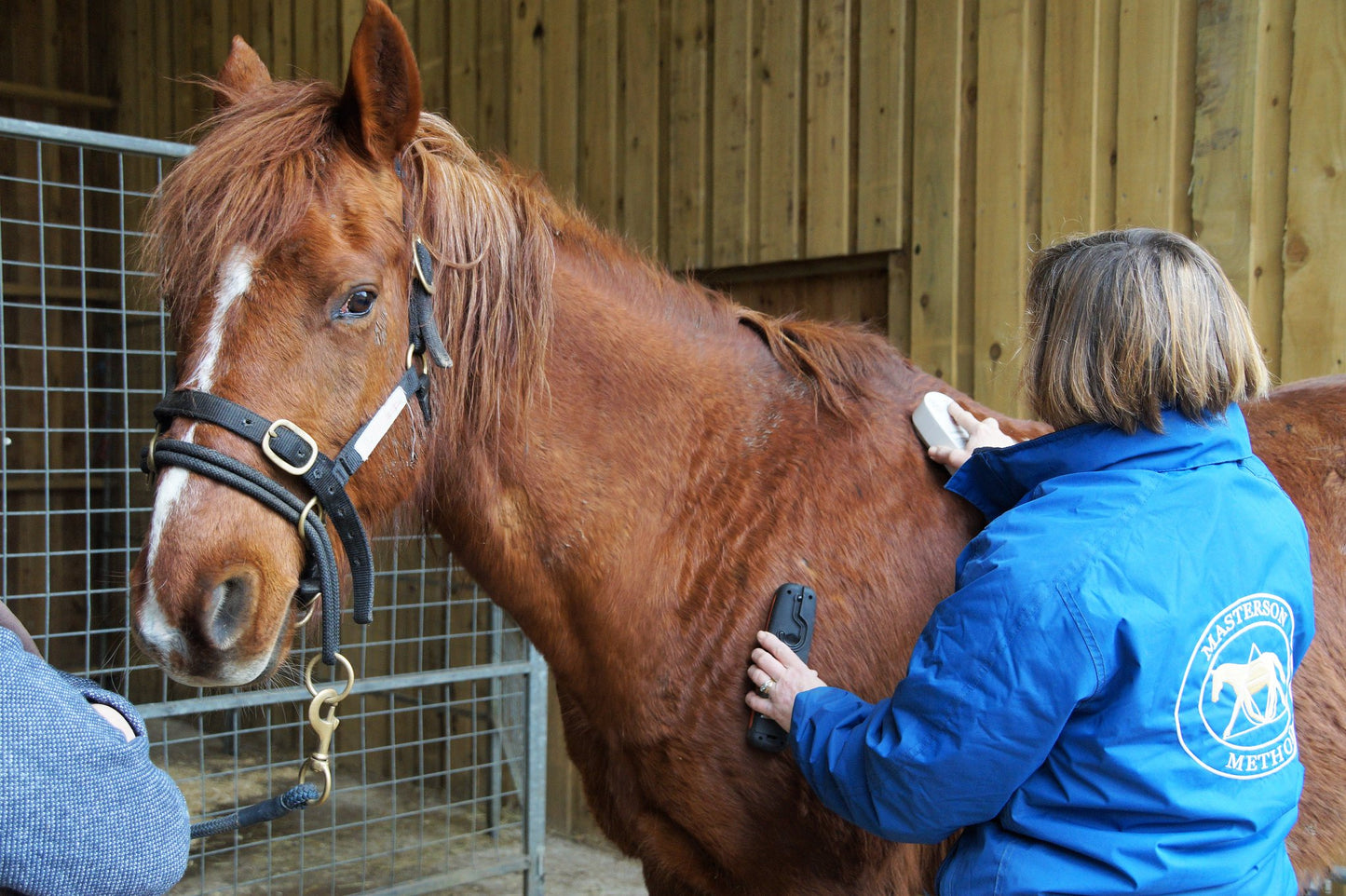 Combined Talk on Low Grade Laminitis & General Equine Body Issues - In-person Talk and Discussion