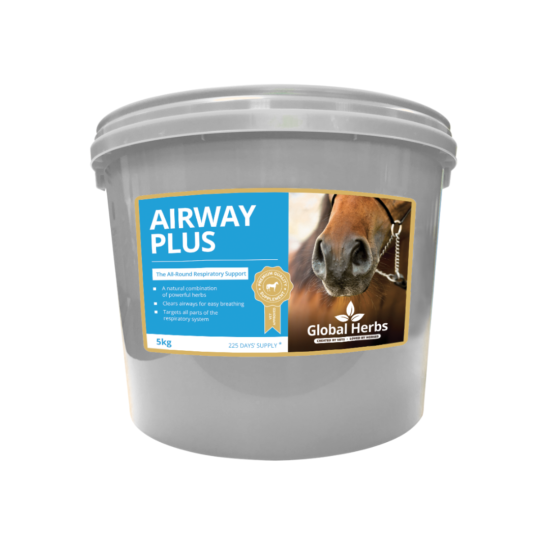 Global Herbs Airway Plus Powder