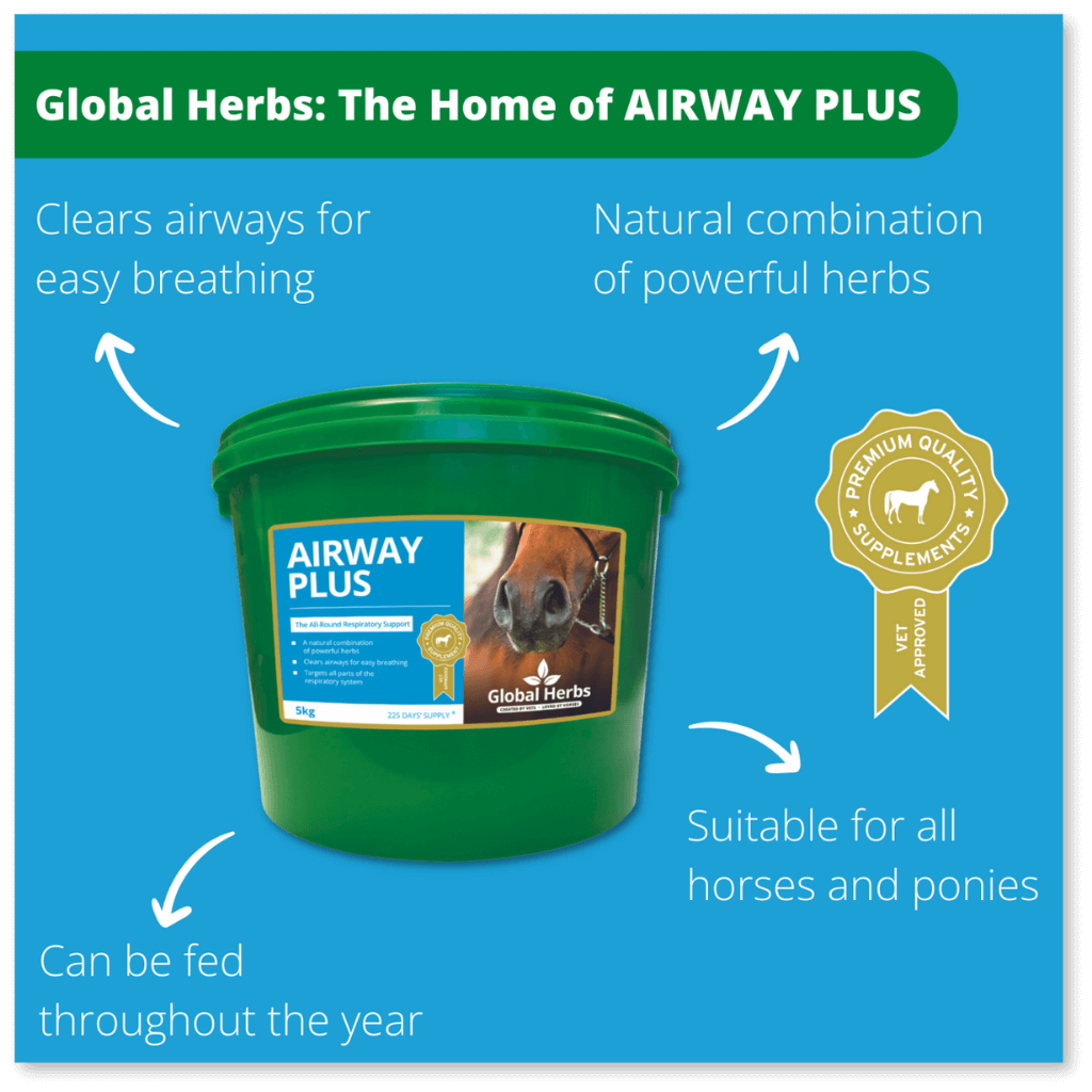 Global Herbs Airway Plus Powder