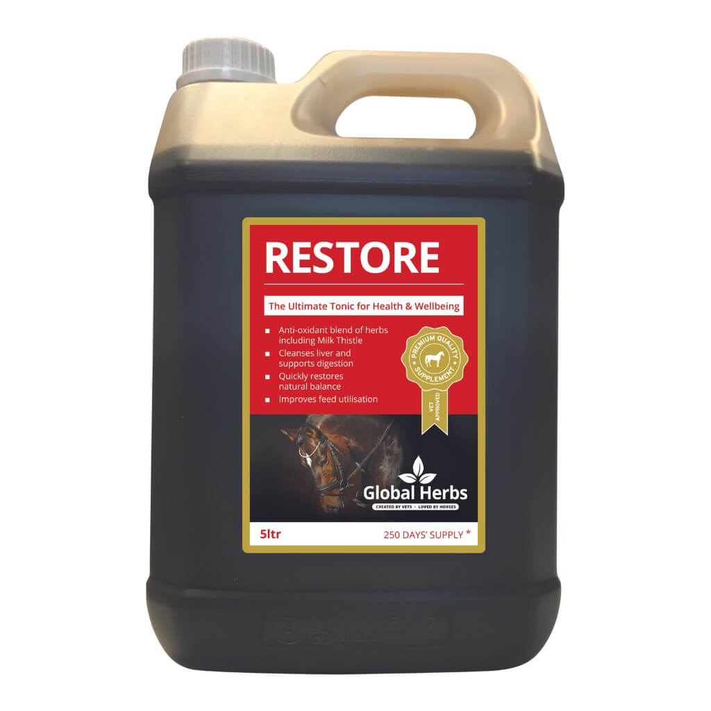 Global Herbs Restore liquid