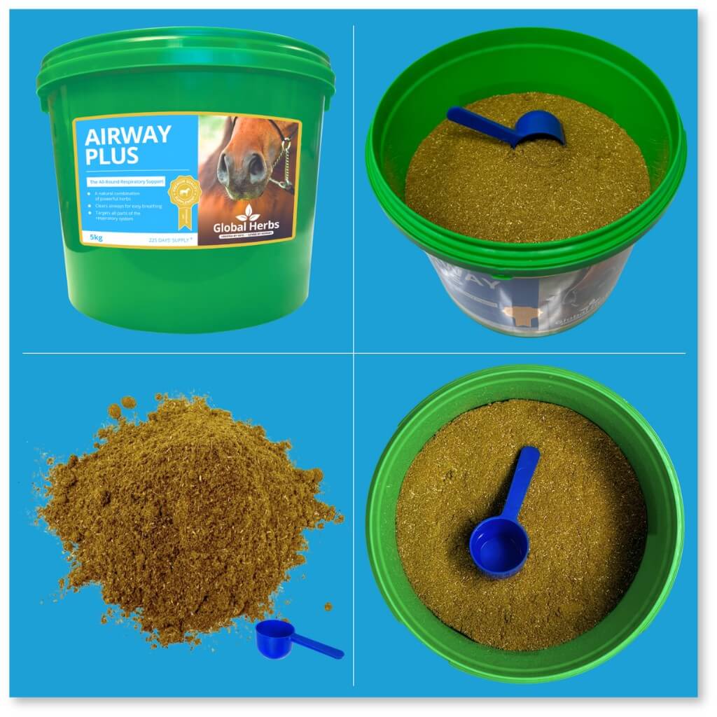 Global Herbs Airway Plus Powder