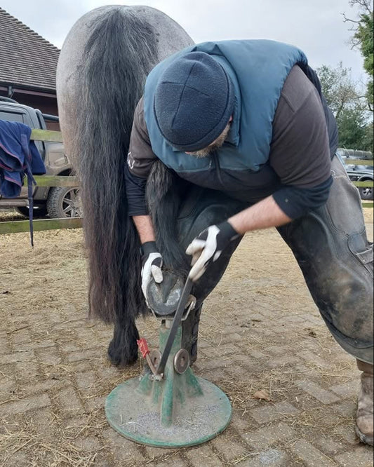Combined Talk on Low Grade Laminitis & General Equine Body Issues - In-person Talk and Discussion
