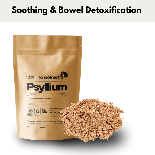 Psyllium Husks