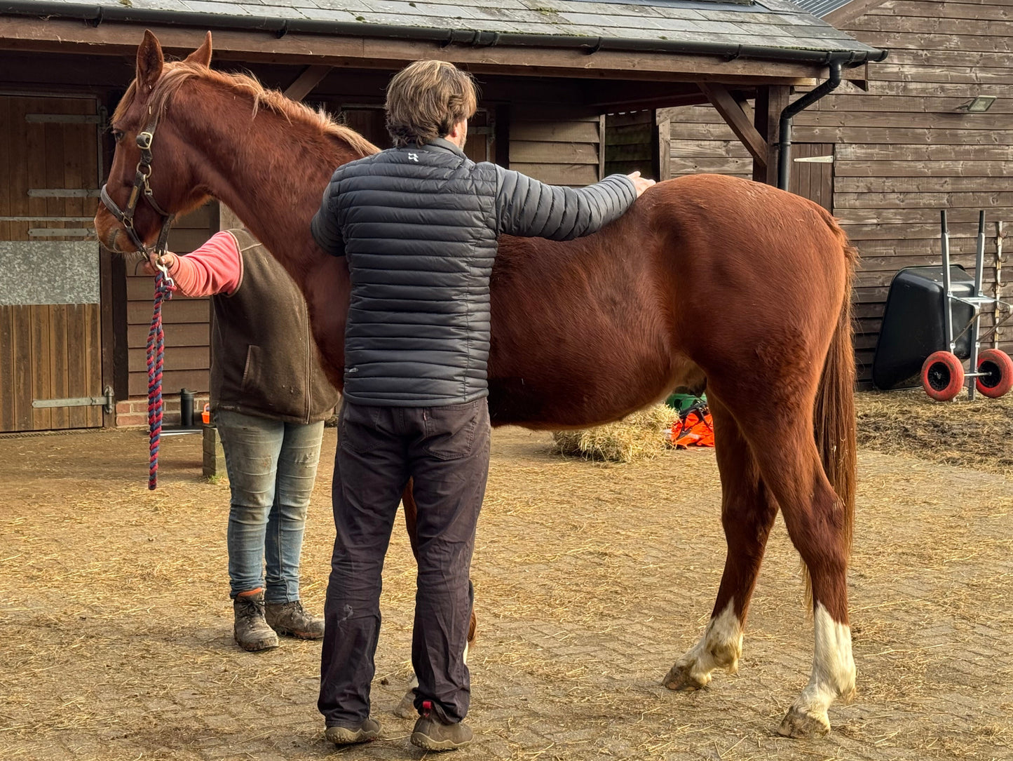 Navicular Syndrome - a Holistic Perspective to Causes, Treatments and Postural Issues