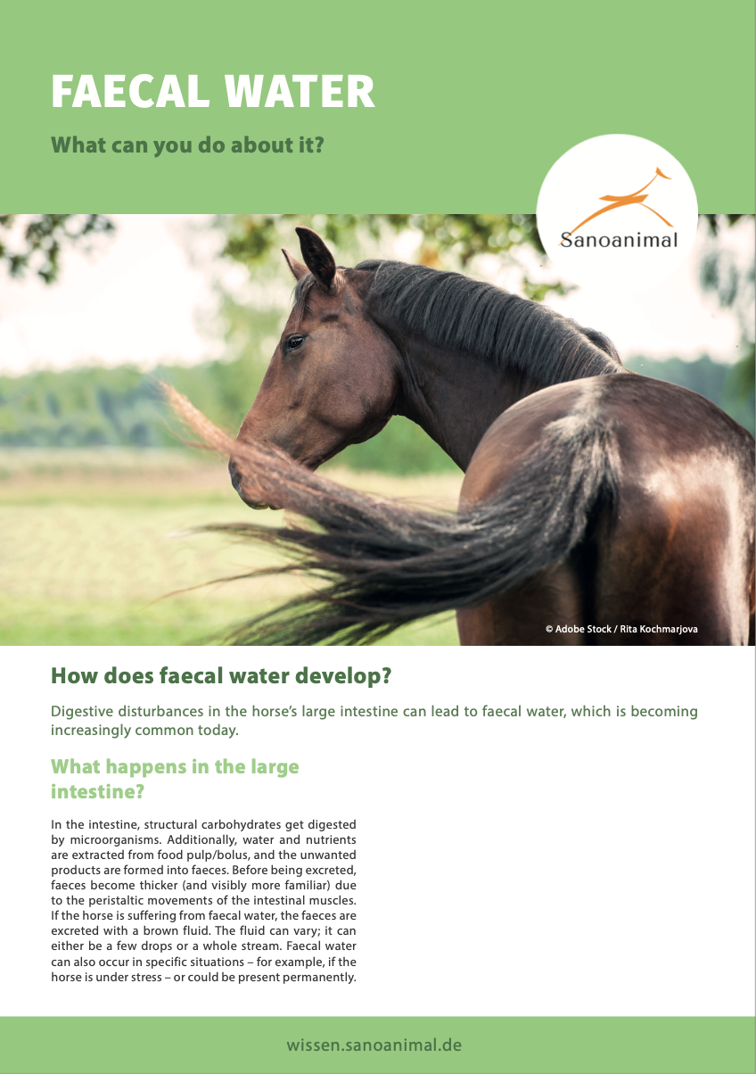 Factsheet - Faecal Water