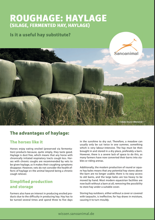 Factsheet - Roughage: Haylage (Silage, Fermented Hay, Haylage)