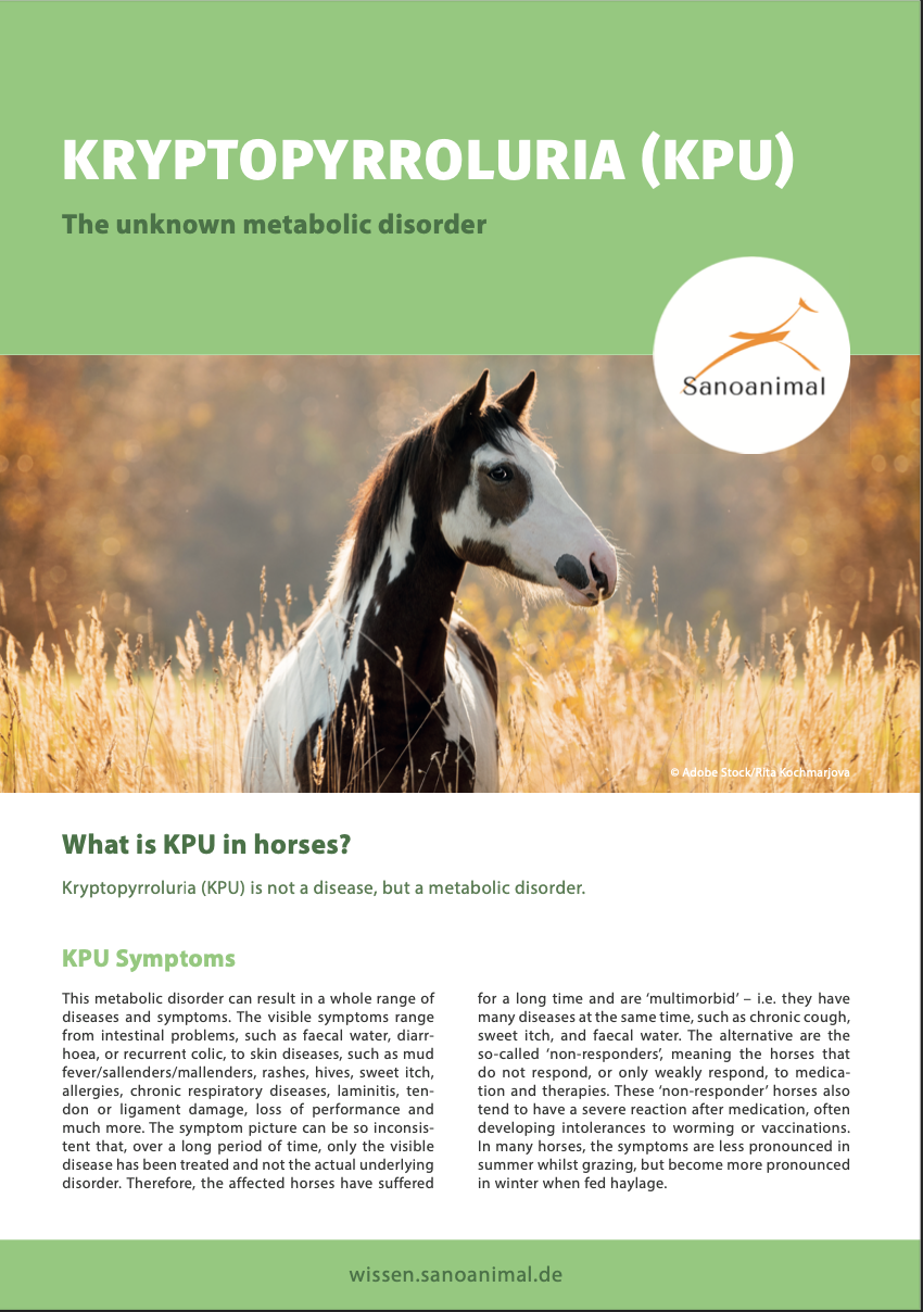 Factsheet - Kryptopyrroluria (KPU)