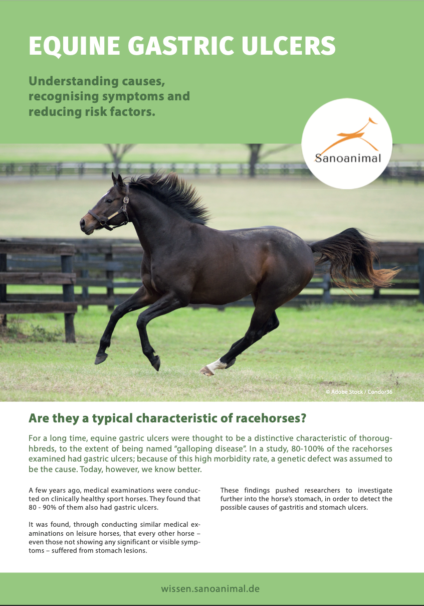 Factsheet Equine Gastric Ulcers Coppermead Equestrian